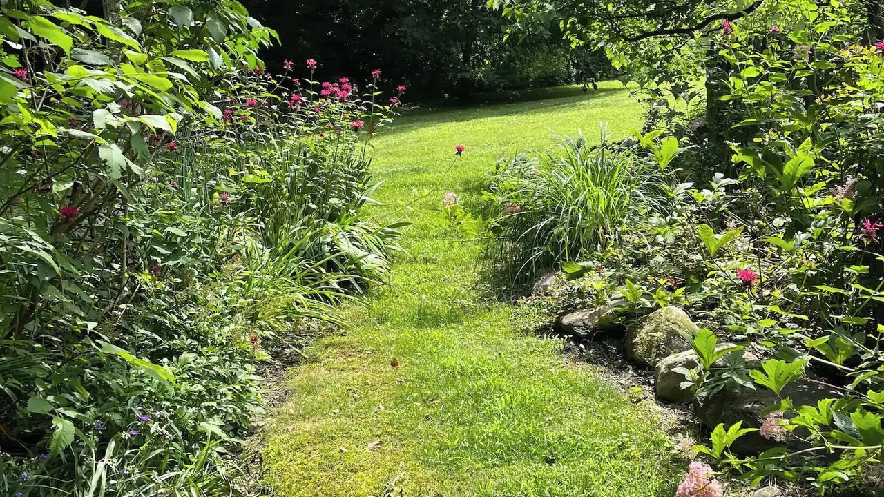 Photo of Outdoor in Buskirk