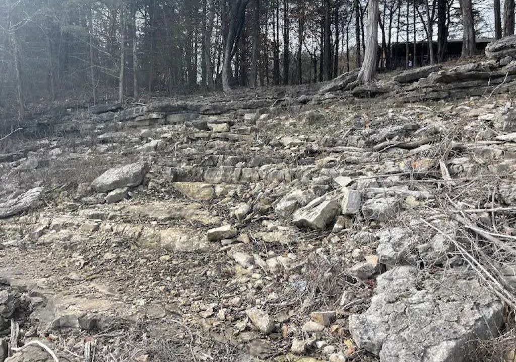Photo of Outdoor in Eagle Rock