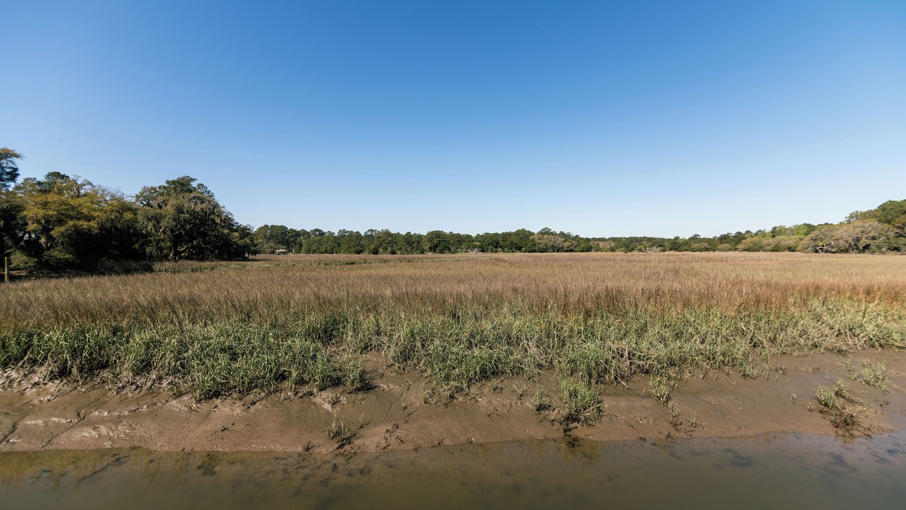 Photo of Others in Edisto Island