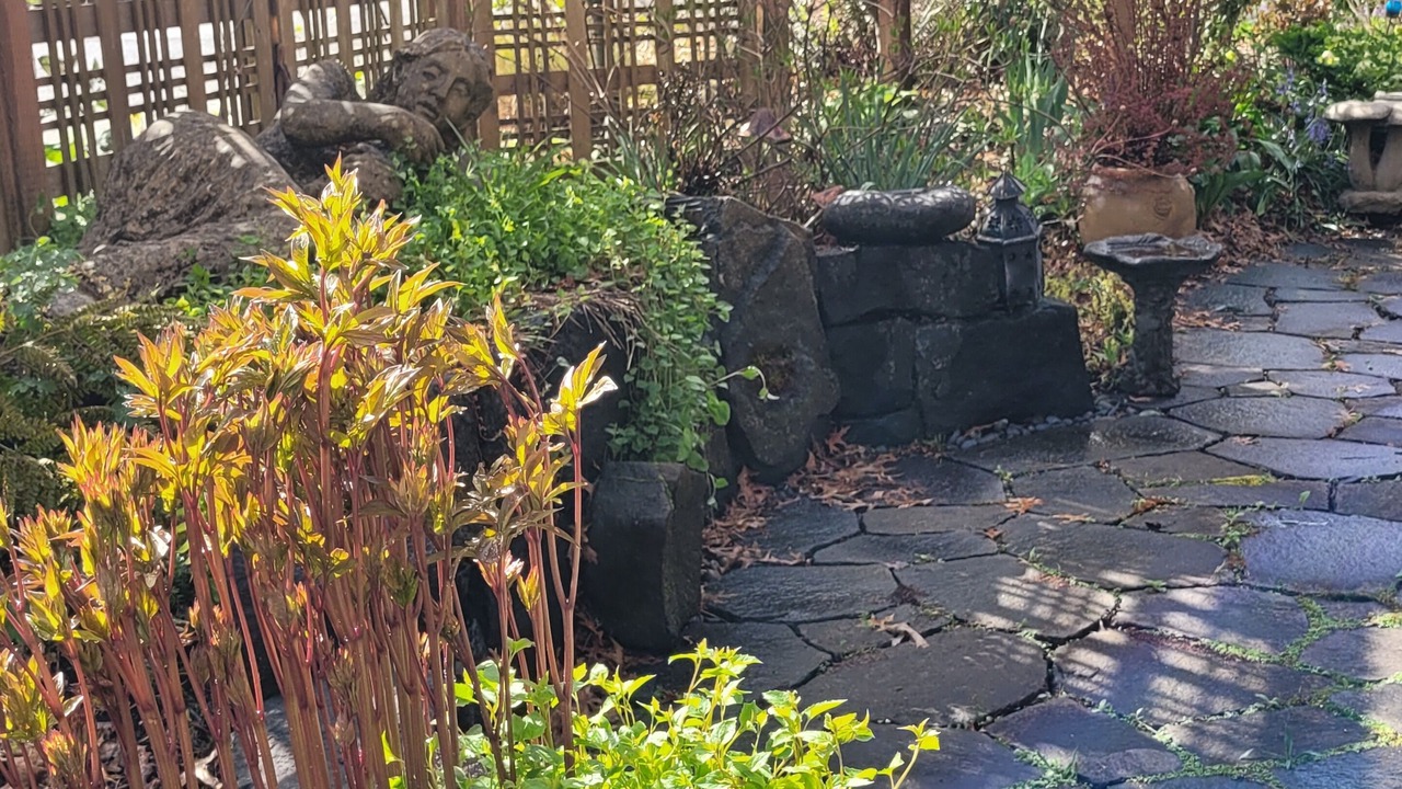 Photo of Outdoor in Friendly