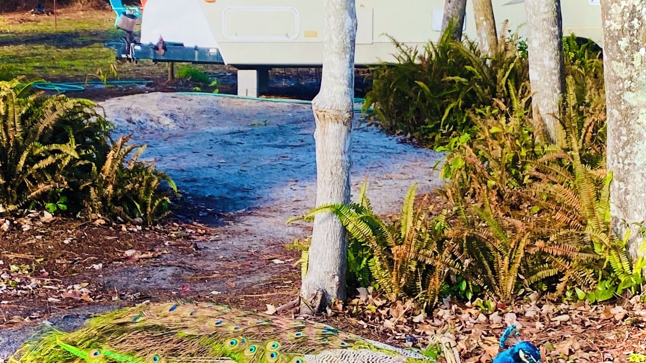 Photo of Others in Westside