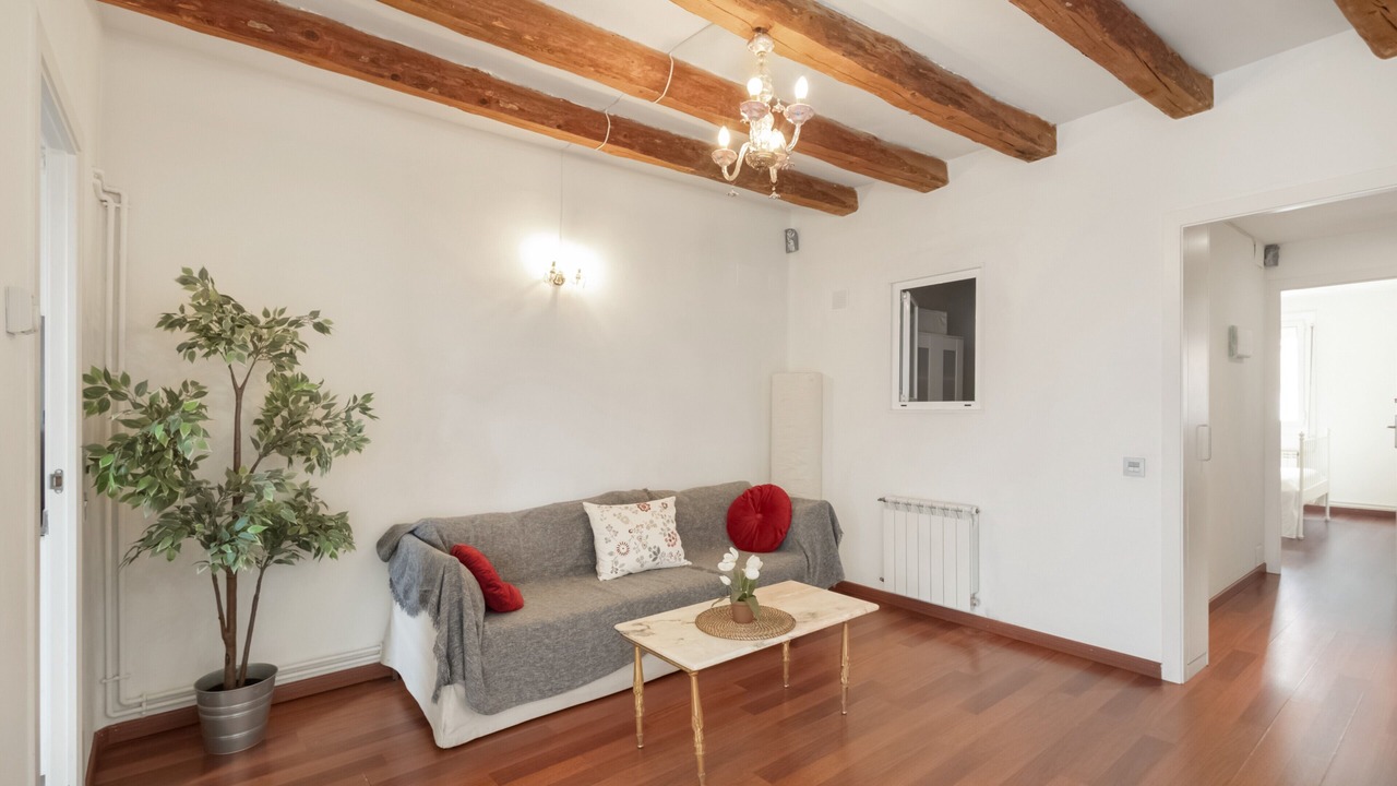 Photo of Livingroom in Passeig i Rodalia