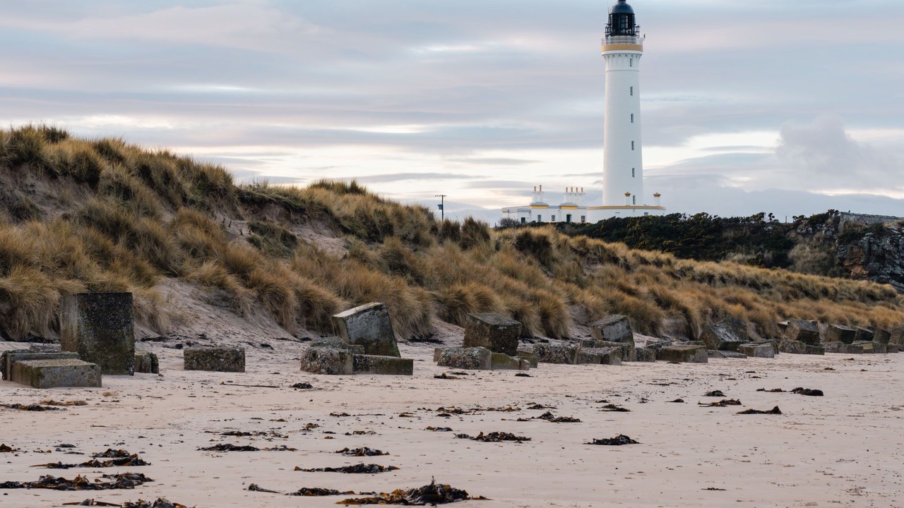 Photo of Others in Lossiemouth