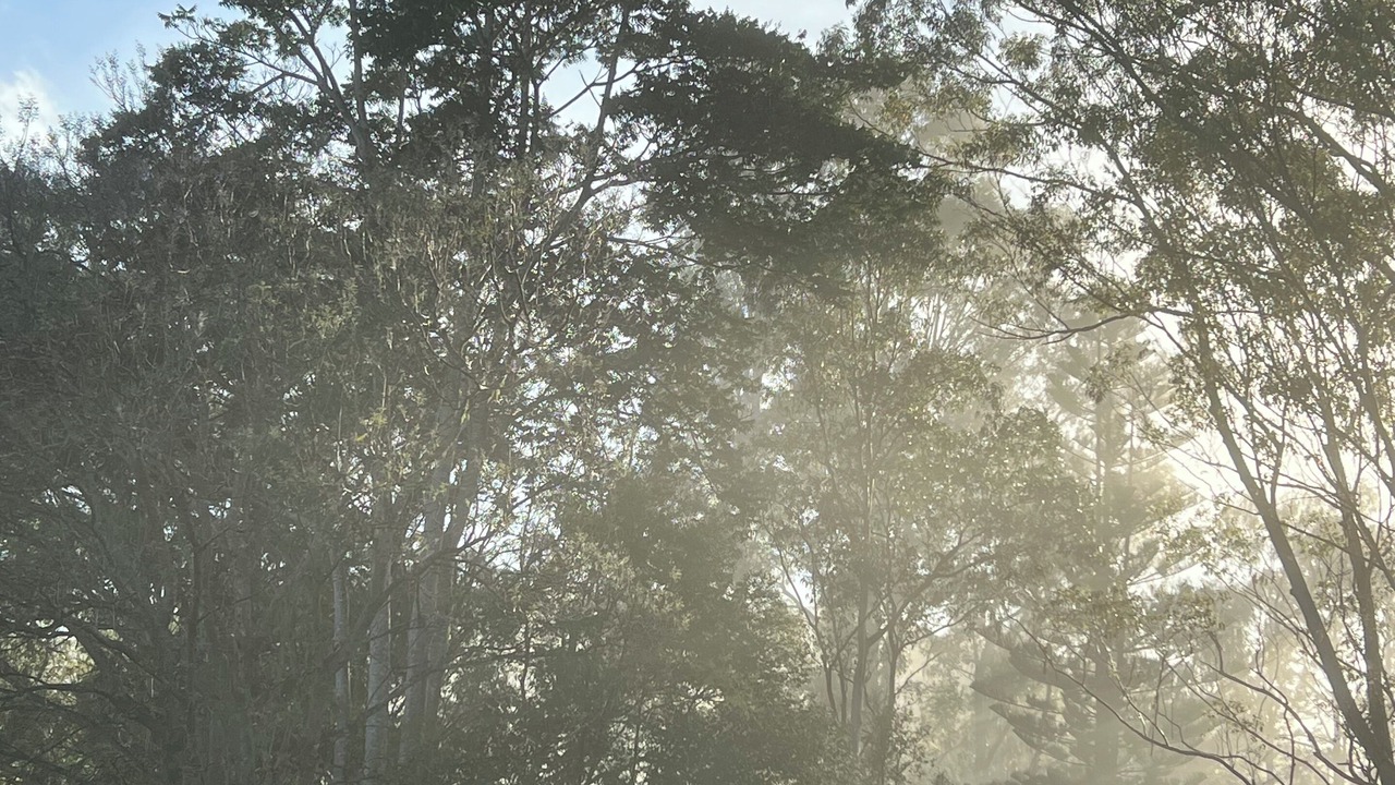 Photo of Others in Pearces Creek