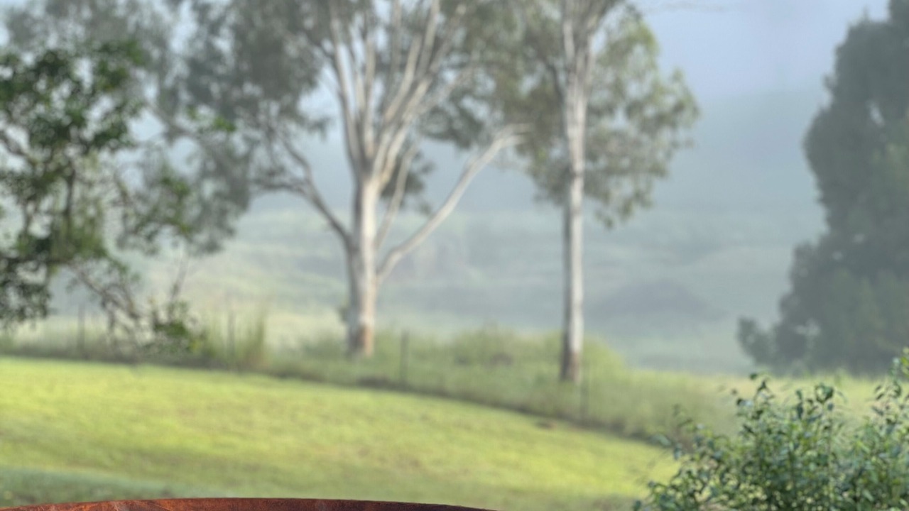 Photo of Others in Pearces Creek