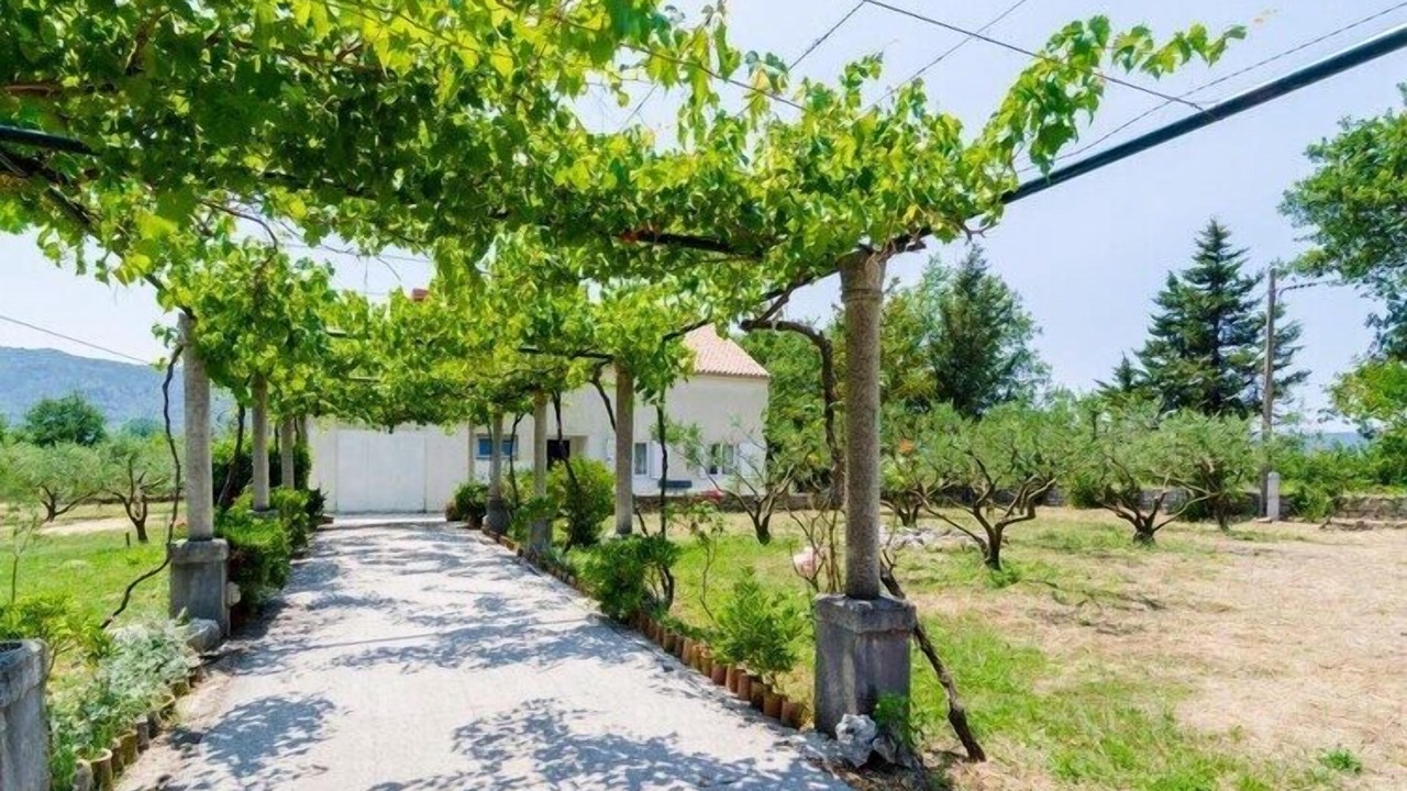Photo of Outdoor in Konavle