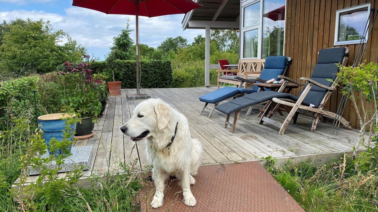 Photo of Patio Balcony in Faarevejle