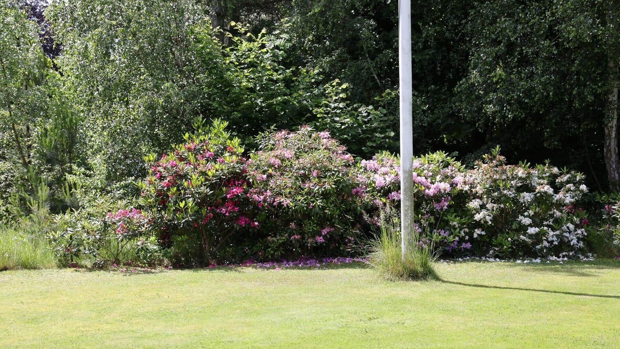 Photo of Outdoor in Rrvig