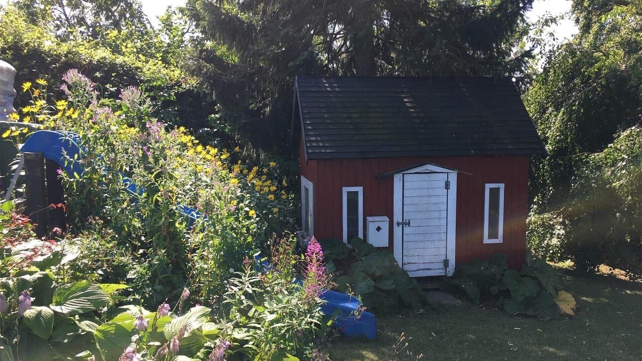Photo of Outdoor in Hoeve Strand