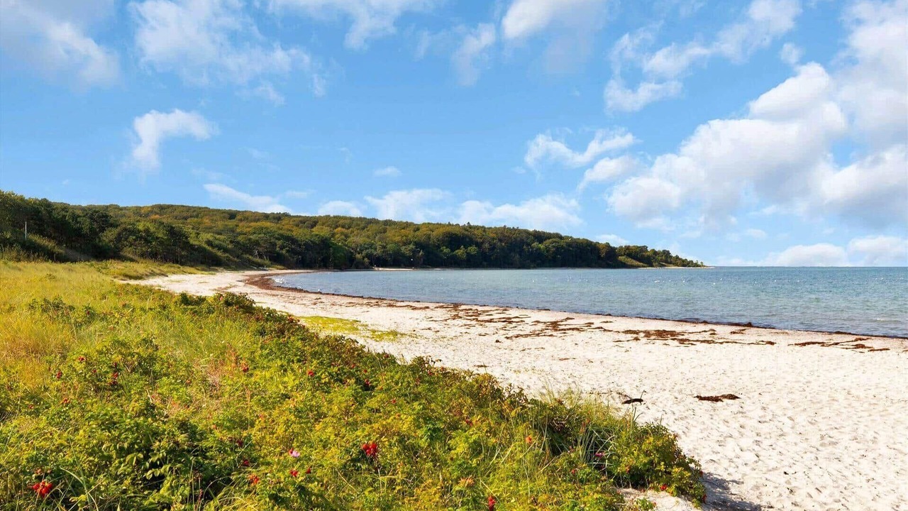 Photo of Others in Hoeve Strand