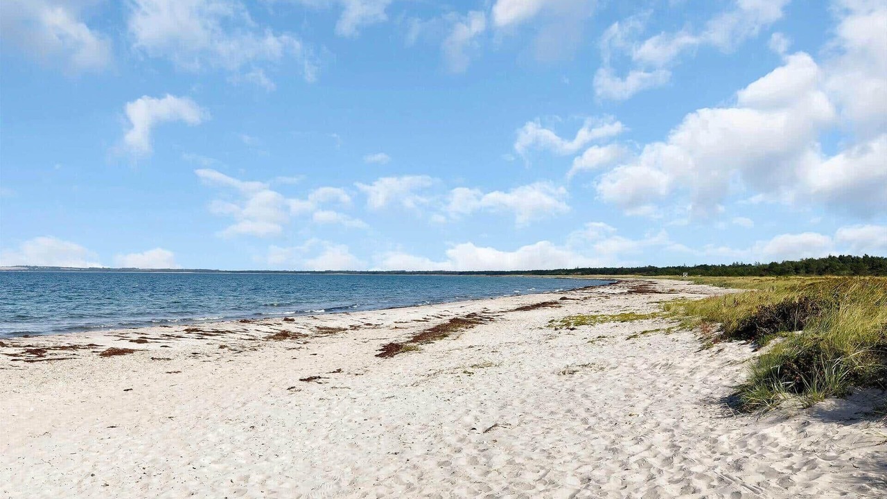 Photo of Others in Hoeve Strand