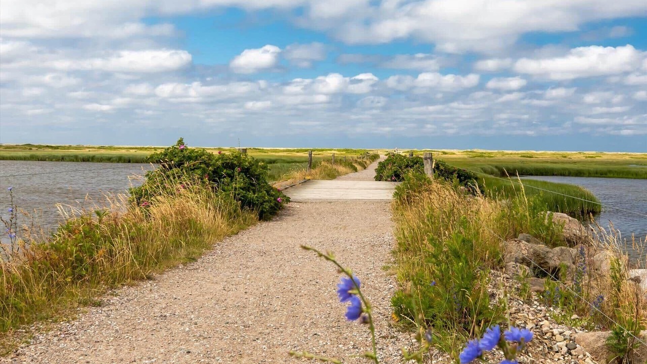 Photo of Others in Hoensinge