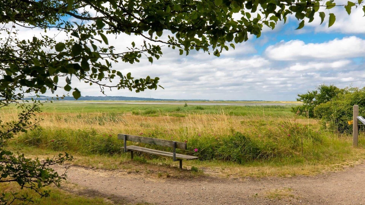 Photo of Others in Hoensinge