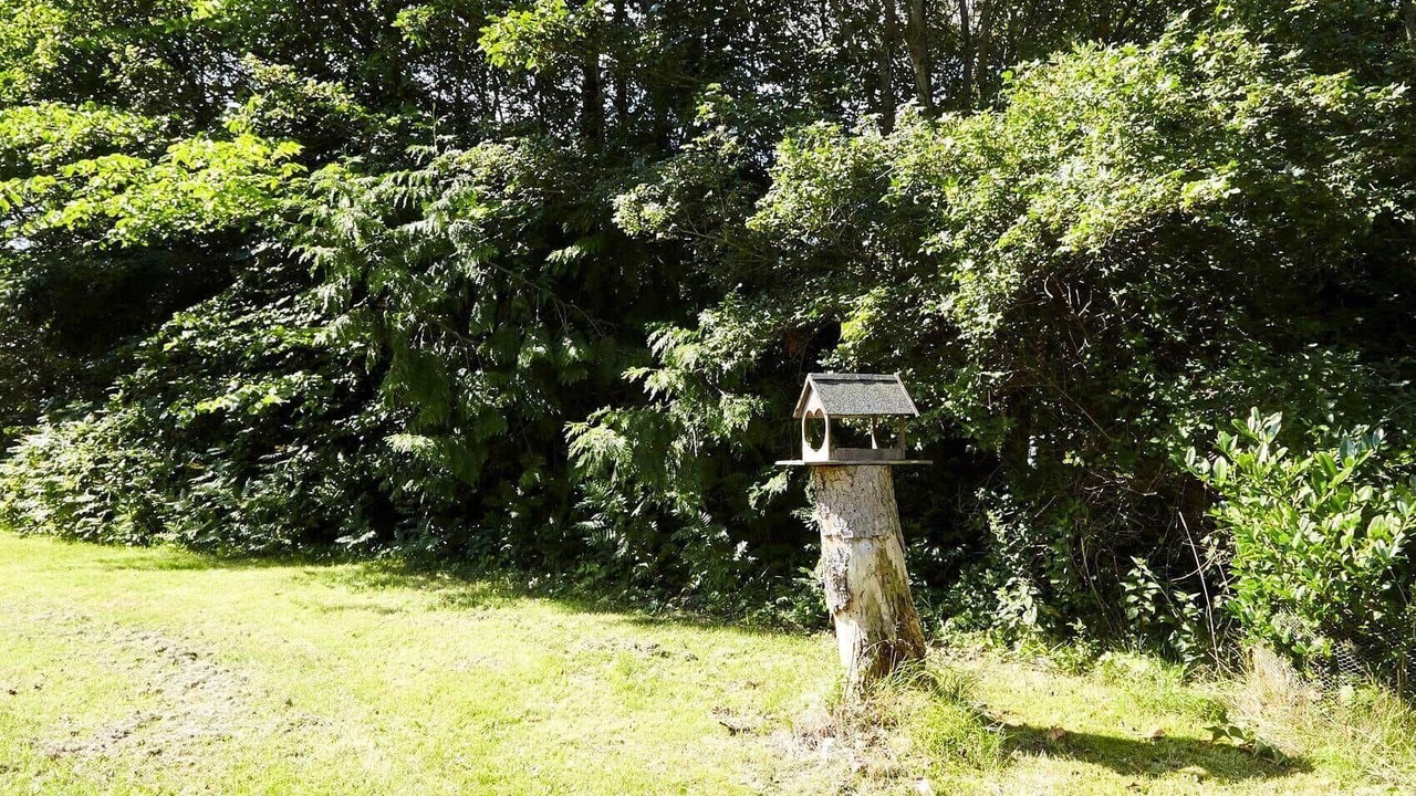 Photo of Outdoor in Rrvig