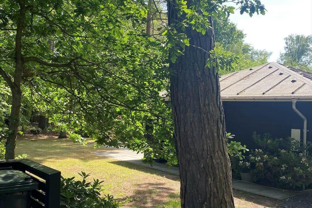 Photo of Outdoor in Rrvig