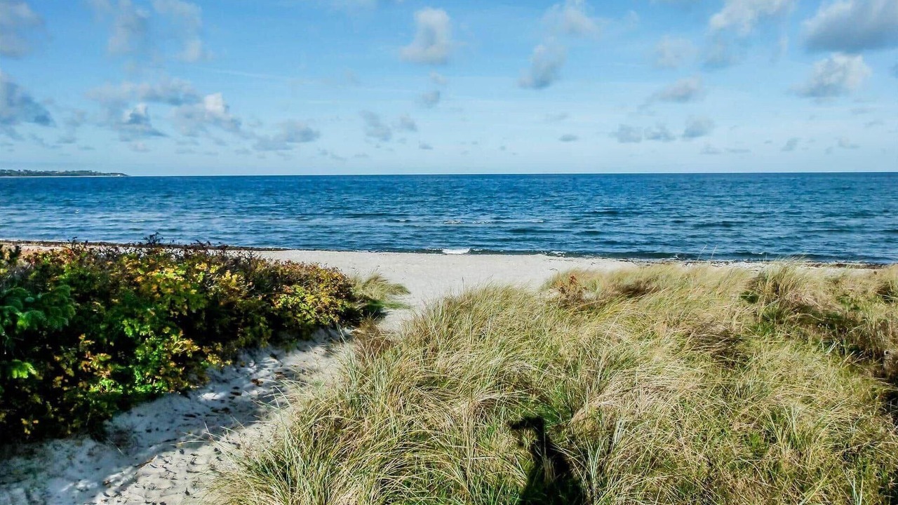Photo of Others in Nykøbing