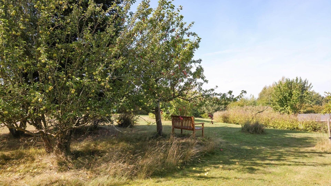 Photo of Outdoor in Ordrup