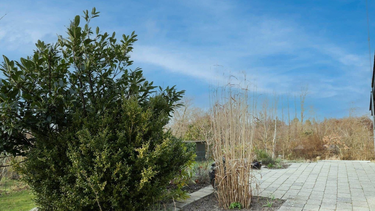 Photo of Outdoor in Ordrup