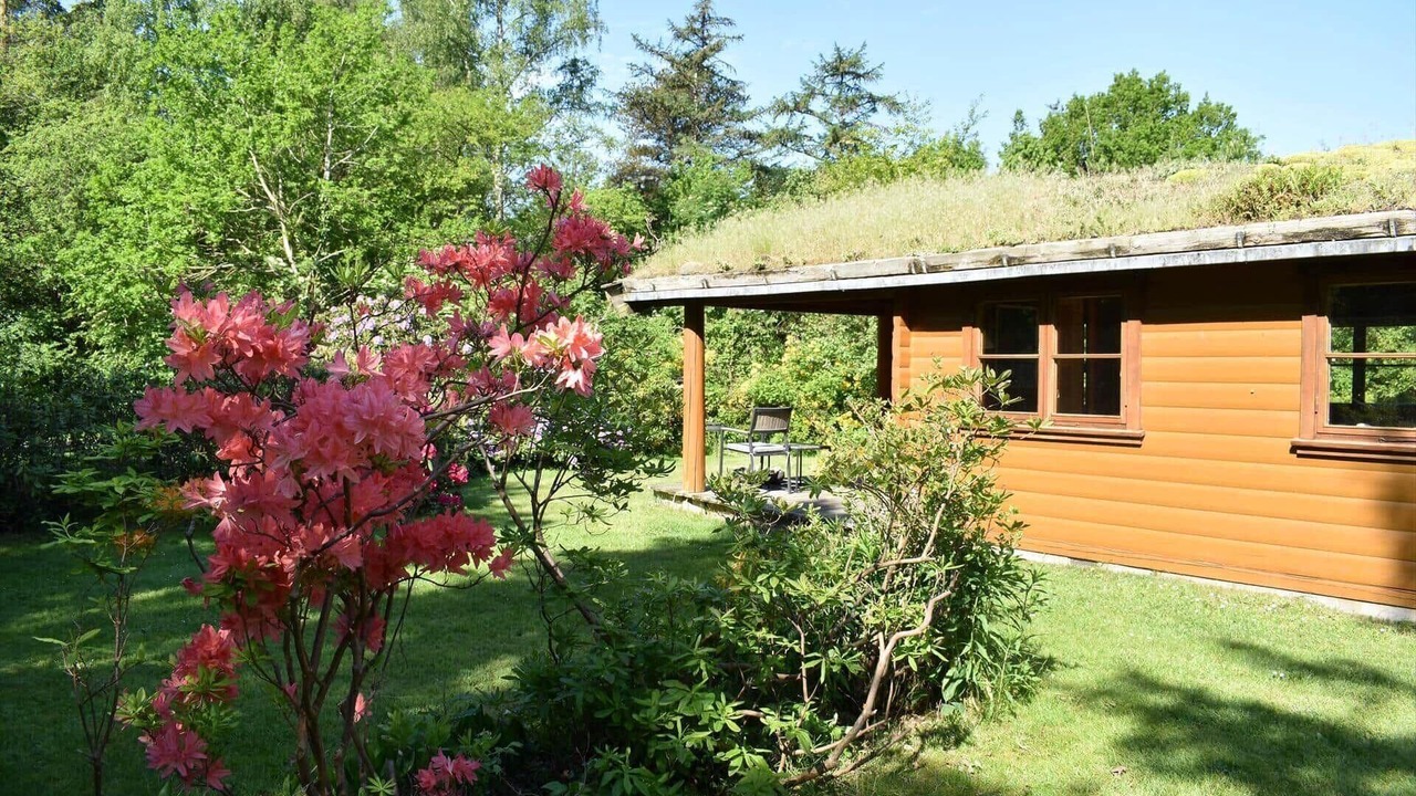 Photo of Outdoor in Rrvig