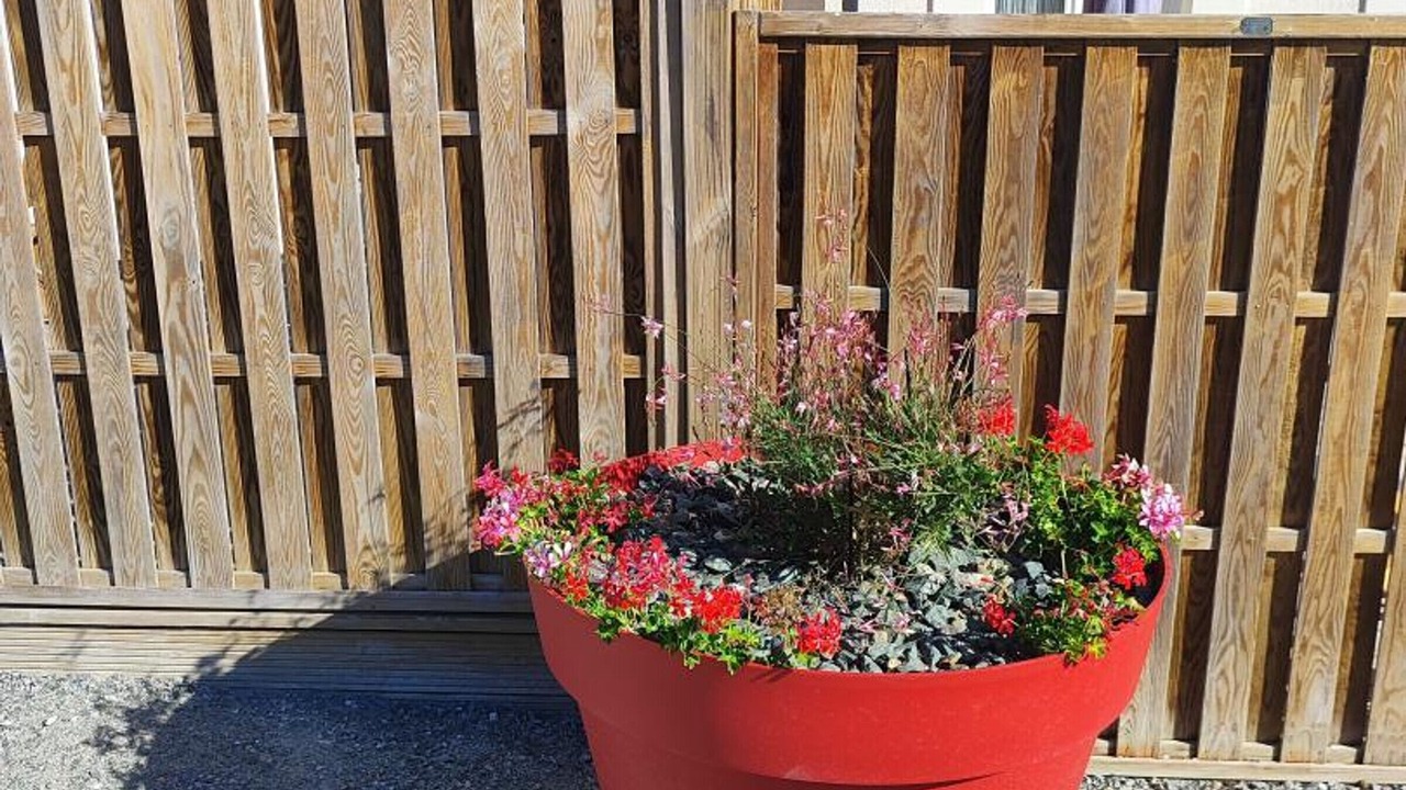 Photo of Outdoor in Meusnes