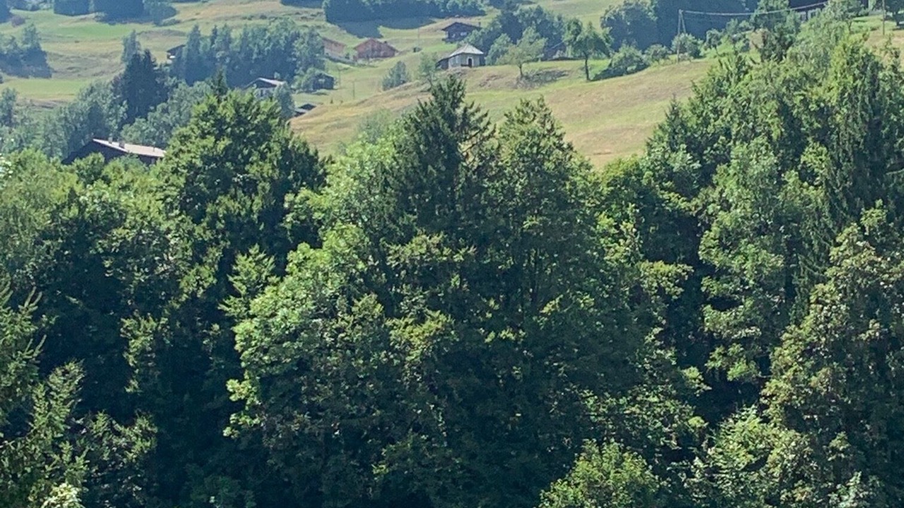 Photo of Others in Flumet