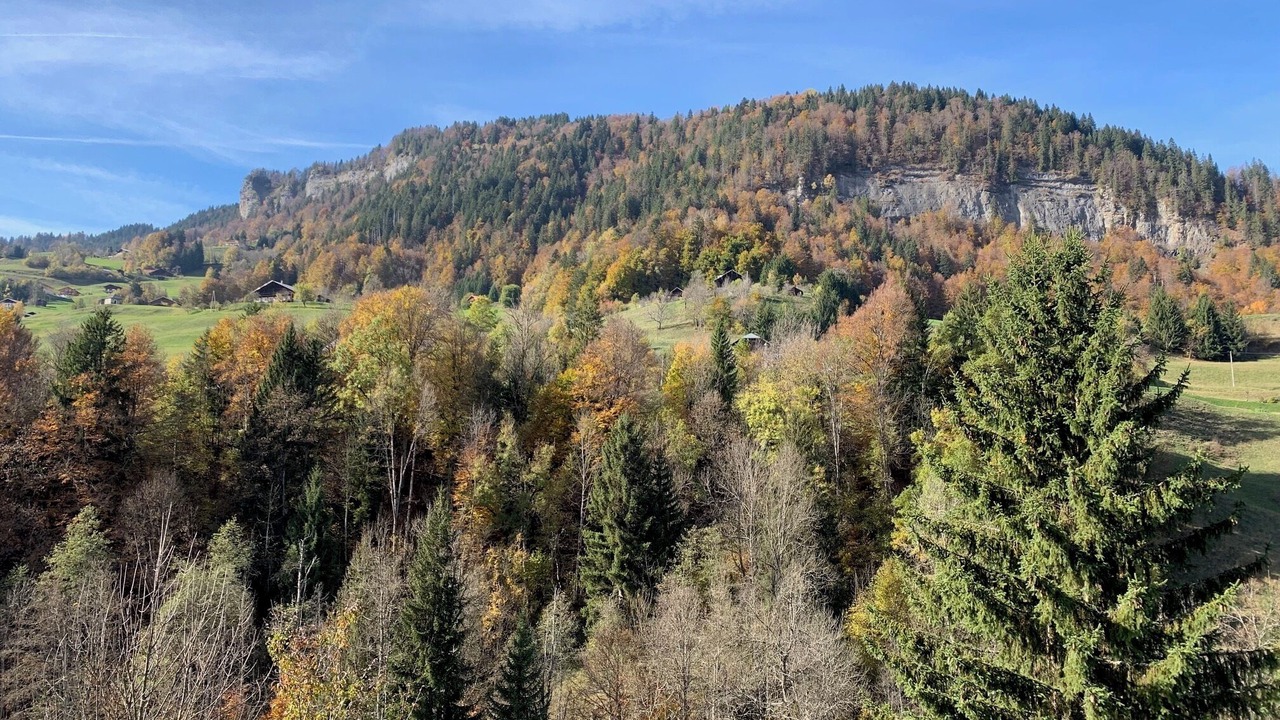 Photo of Others in Flumet