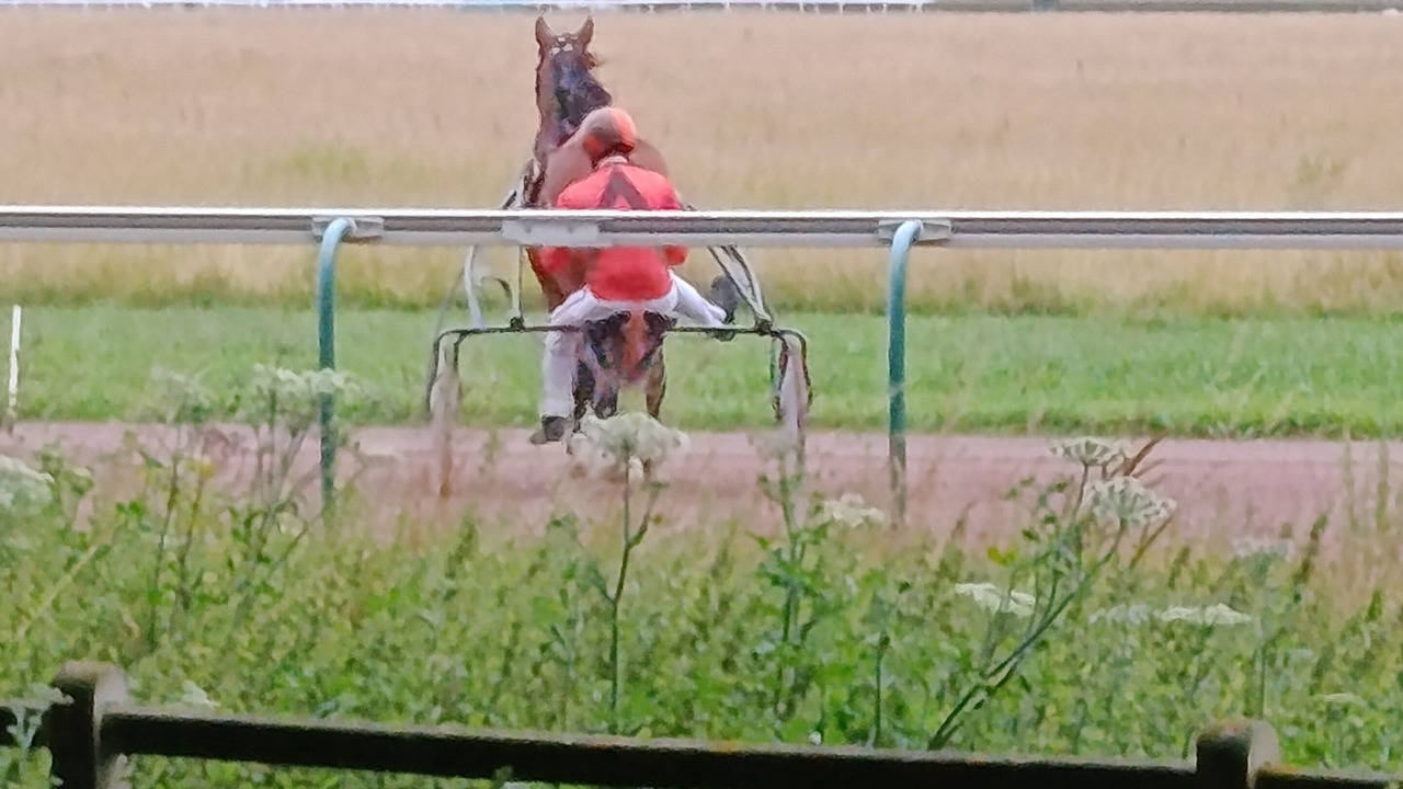 Photo of Others in La Demi-Lune