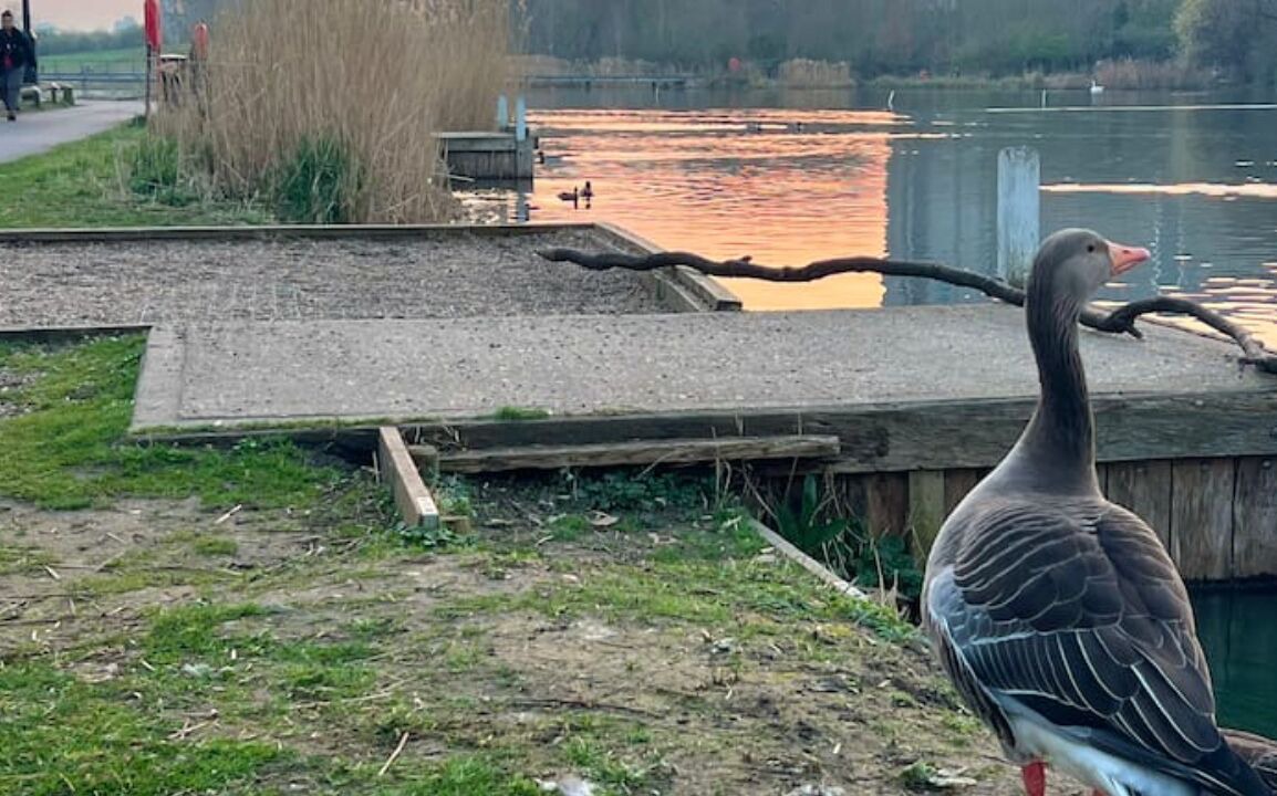 Photo of Others in Livesey