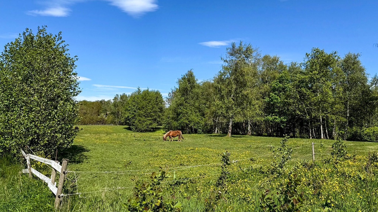 Photo of Others in Ronbjerg