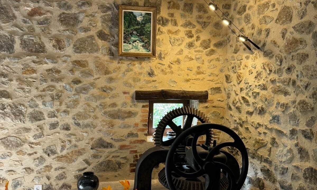 Photo of Others in Soudaine-Lavinadiere