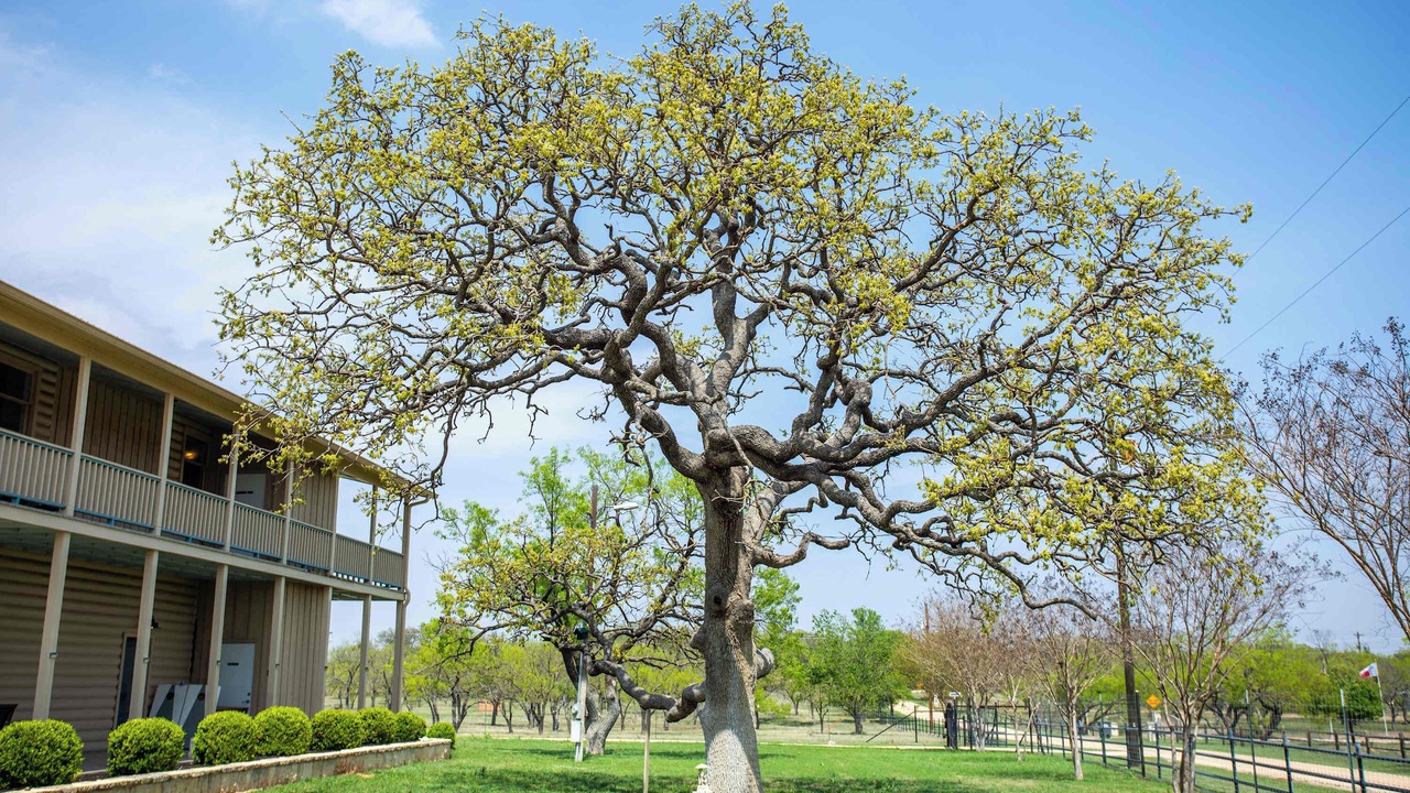 Photo of Outdoor in Fredericksburg