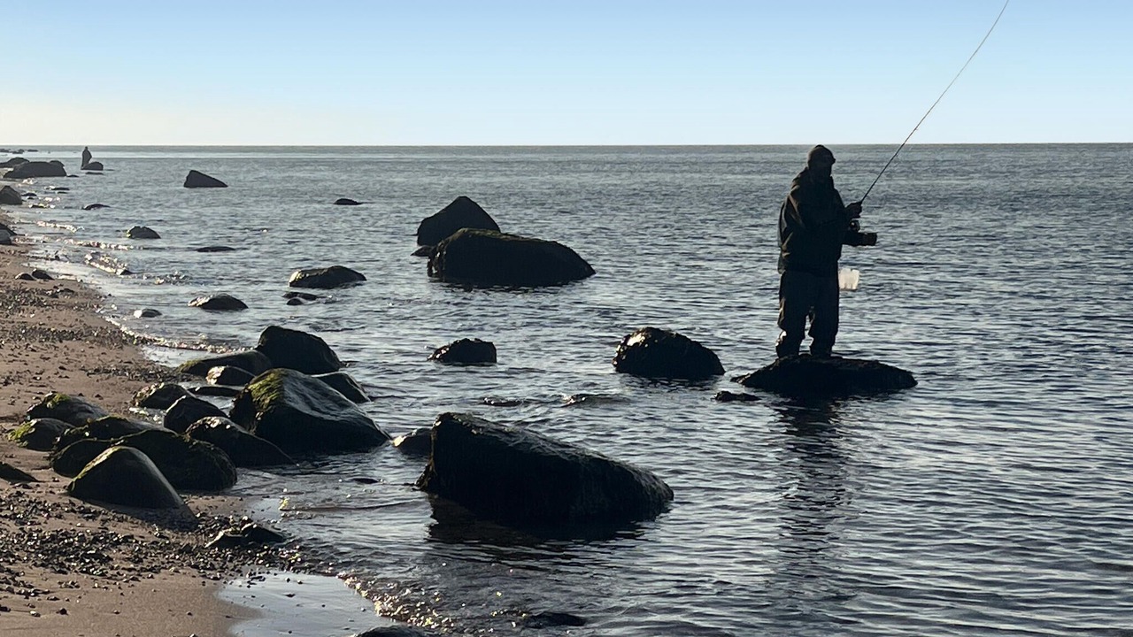 Photo of Others in Skødshoved Strand