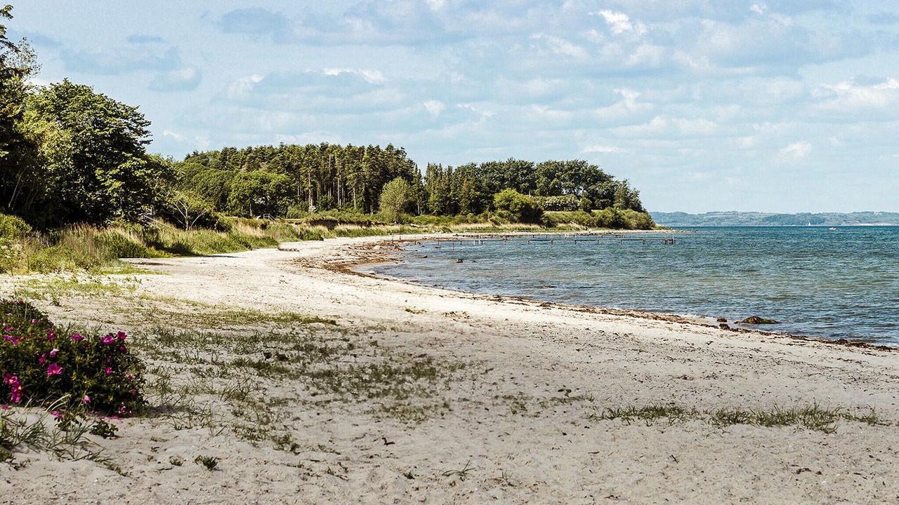 Photo of Others in Nordborg