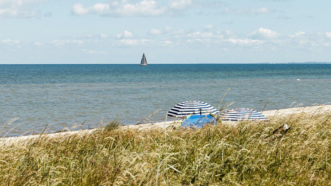 Photo of Others in Nordborg