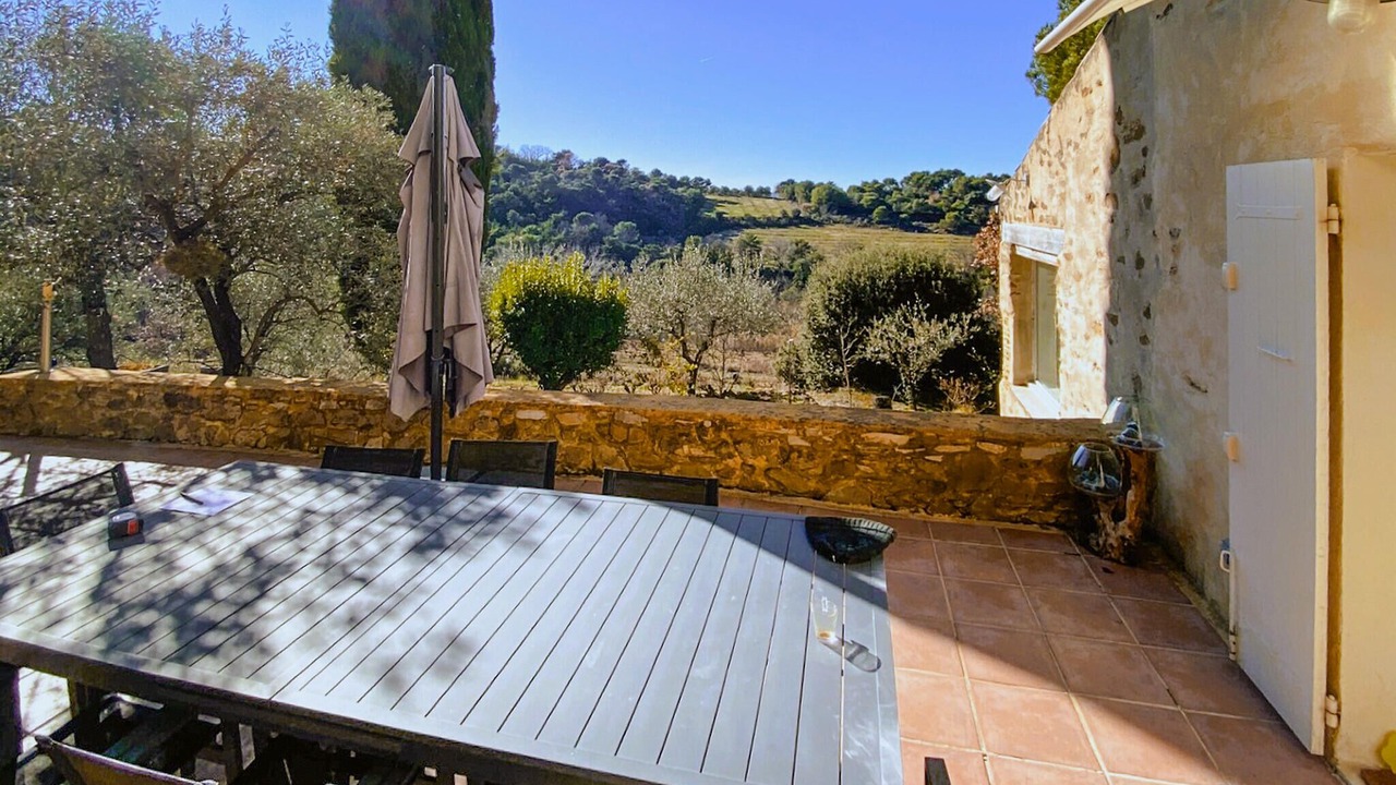 Photo of Others in Piegon