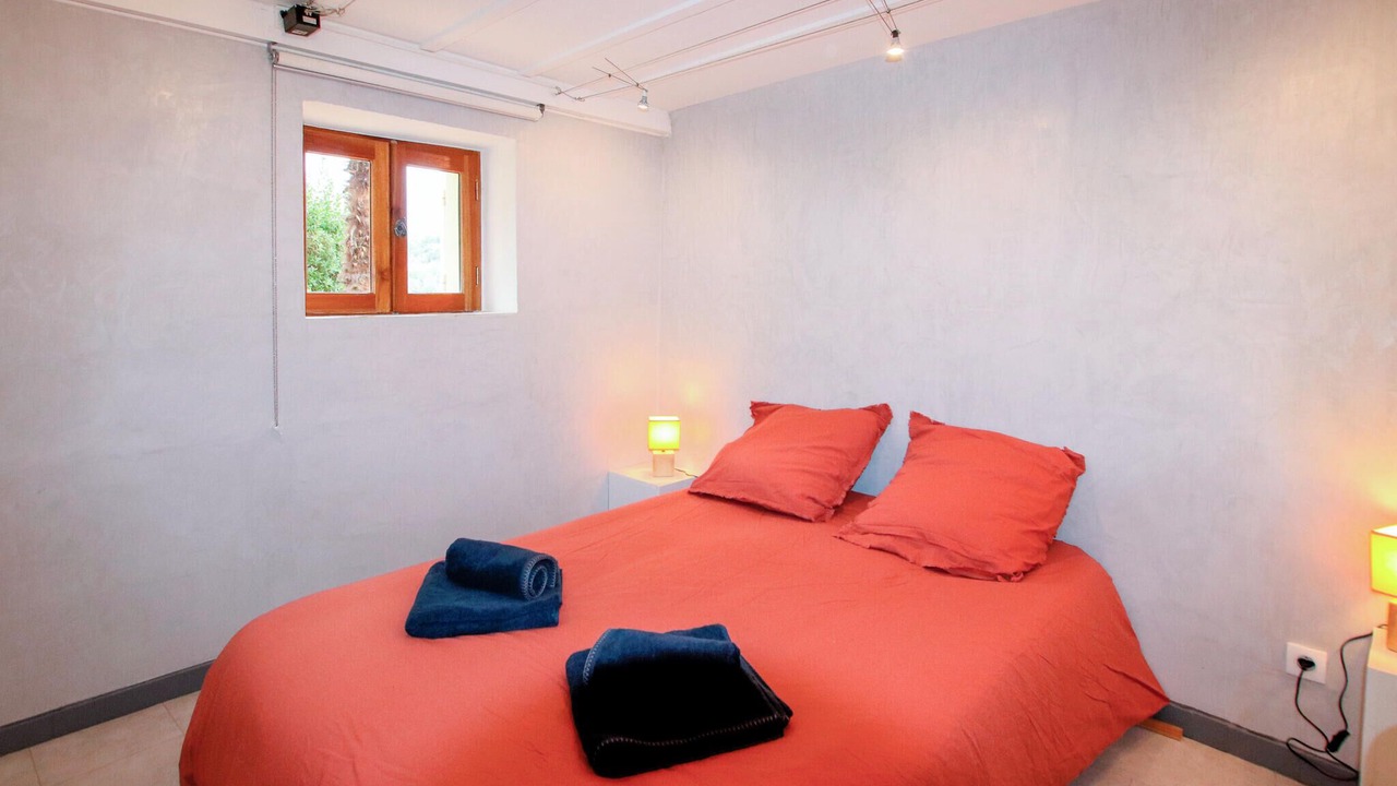 Photo of Others in Piegon