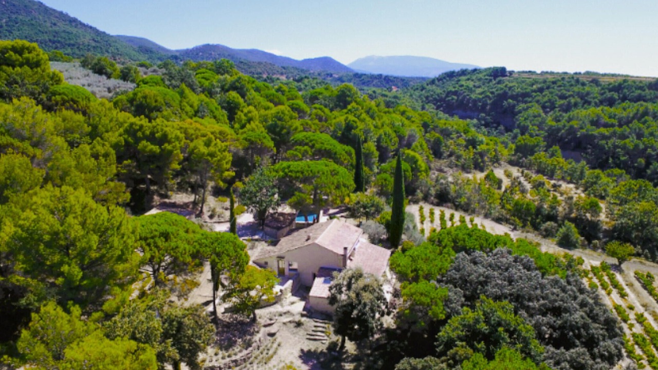 Photo of Others in Piegon