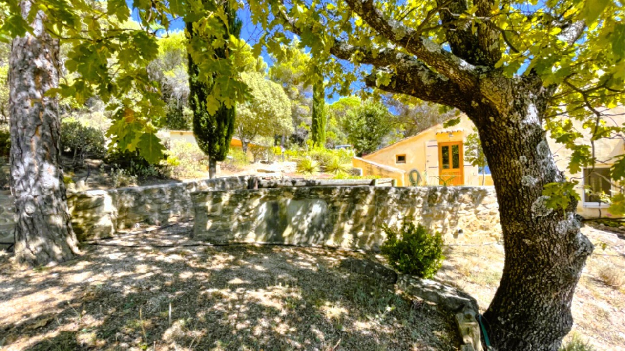 Photo of Others in Piegon