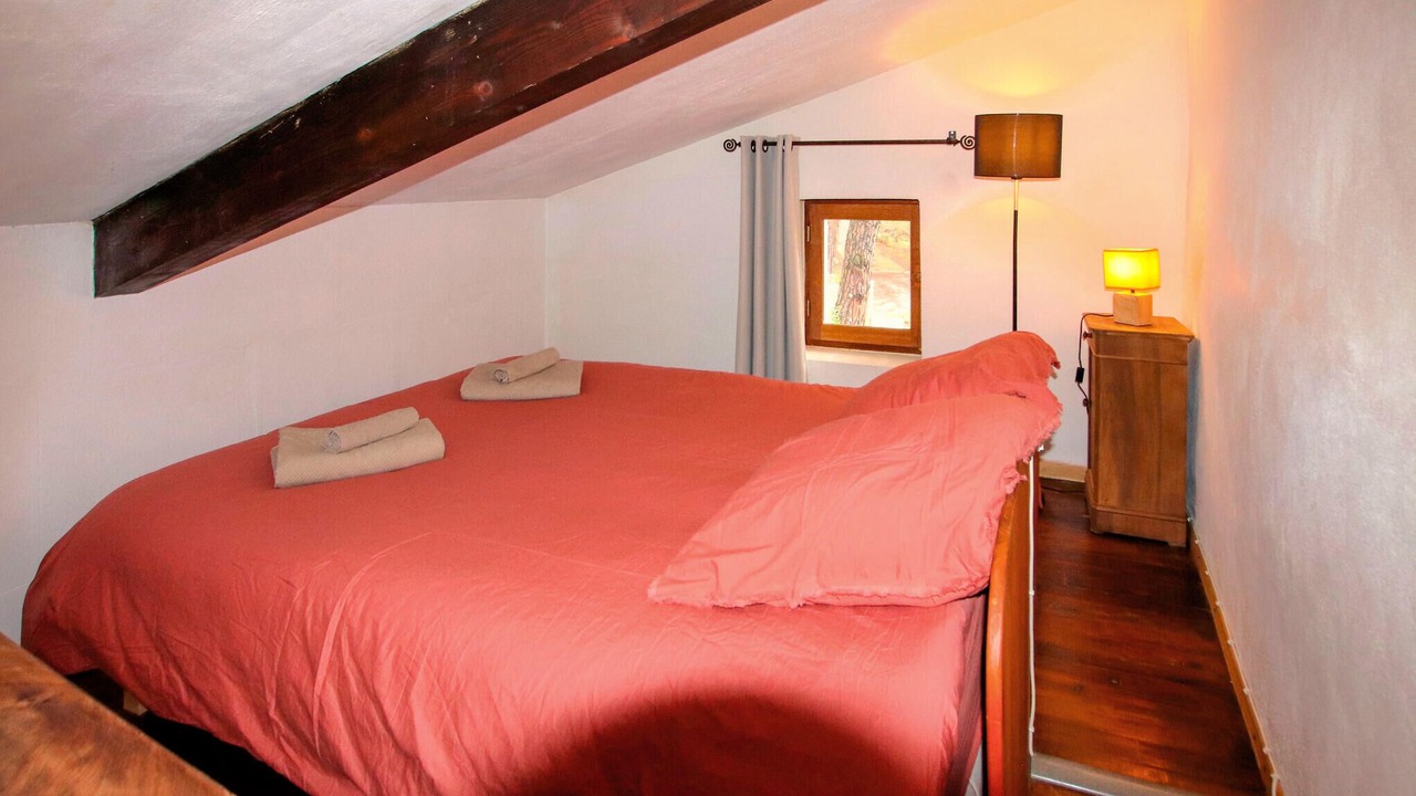 Photo of Others in Piegon