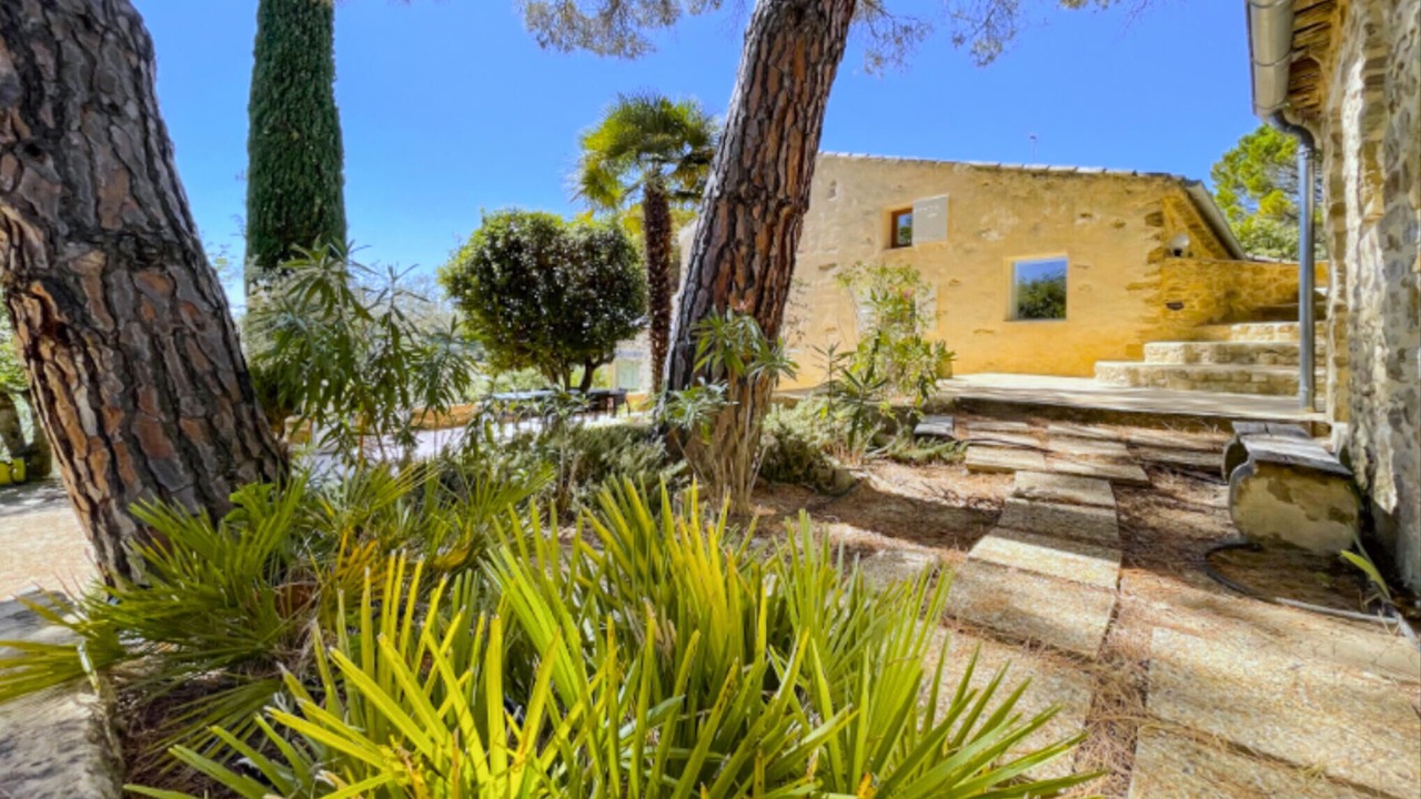 Photo of Others in Piegon