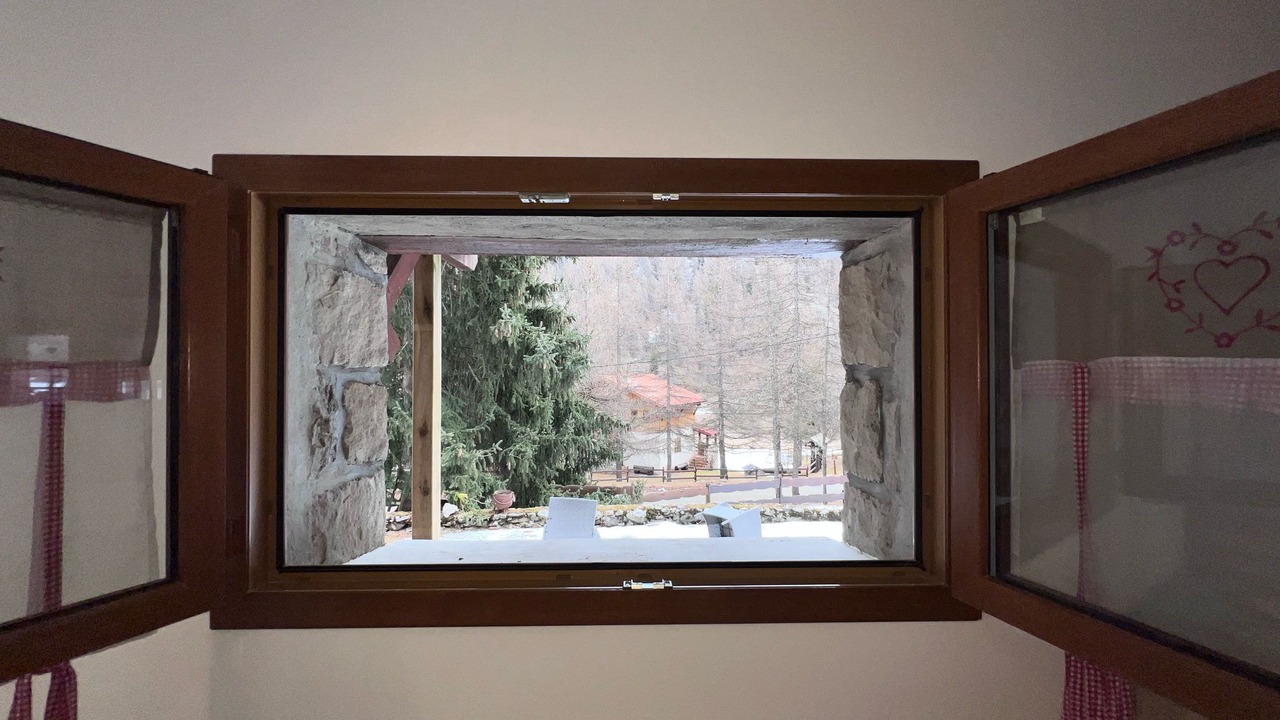 Photo of Others in Belvedere