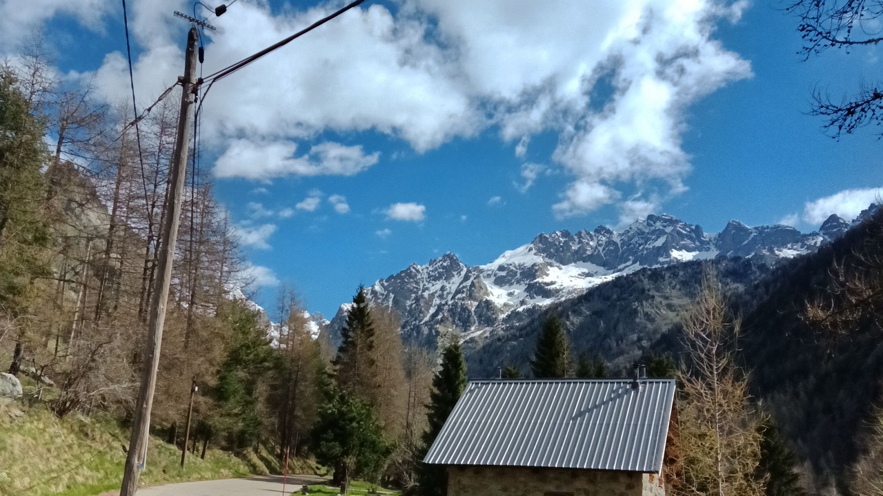 Photo of Others in Belvedere