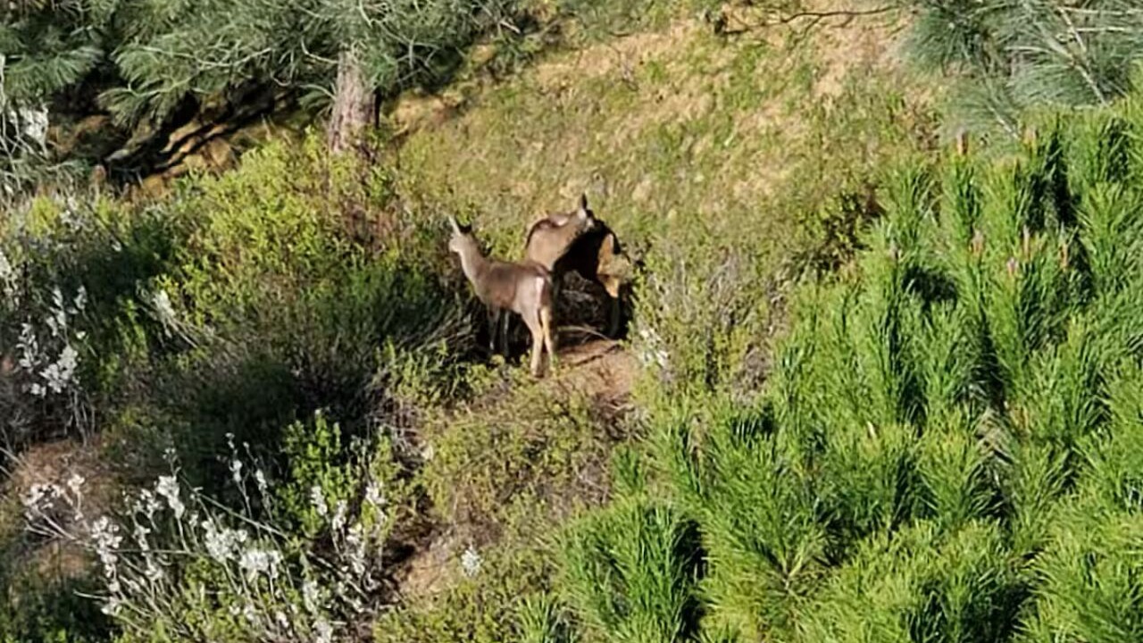 Photo of Others in Oak Shores