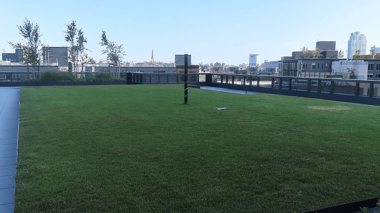 Photo of Outdoor in Greenpoint