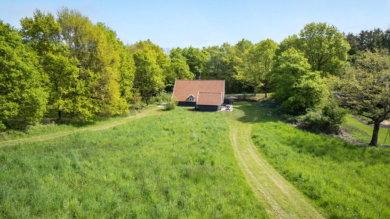 Photo of Others in Vedelshave