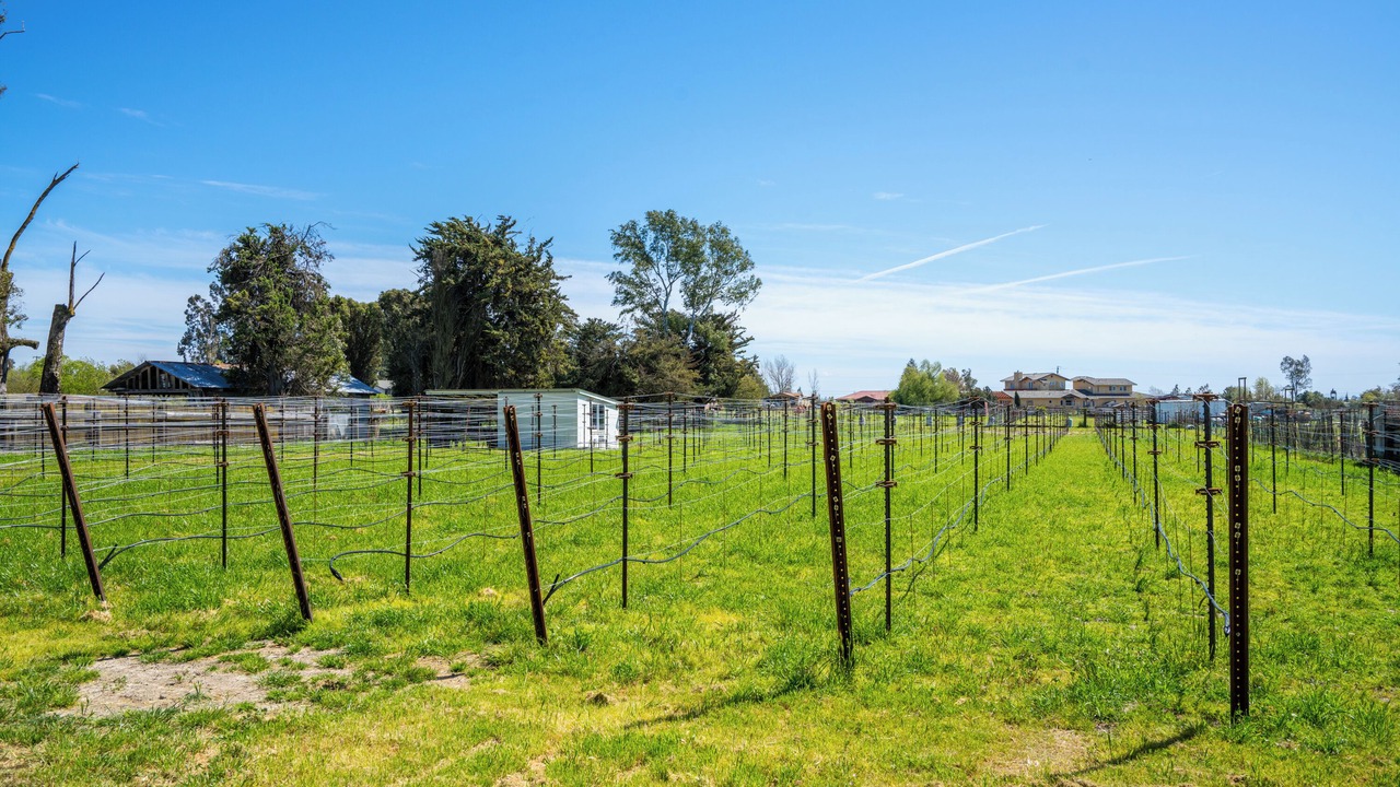 Photo of Others in Sonoma
