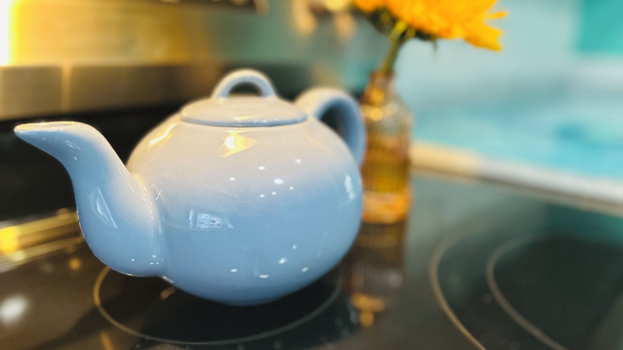 Photo of Others in Palm Harbor