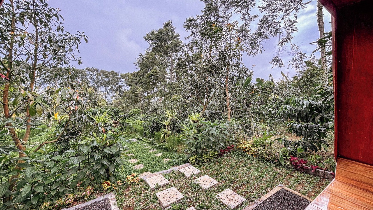 Photo of Patio Balcony in Pupuan