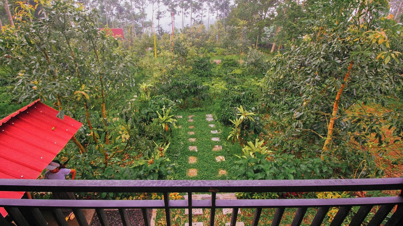 Photo of Patio Balcony in Pupuan