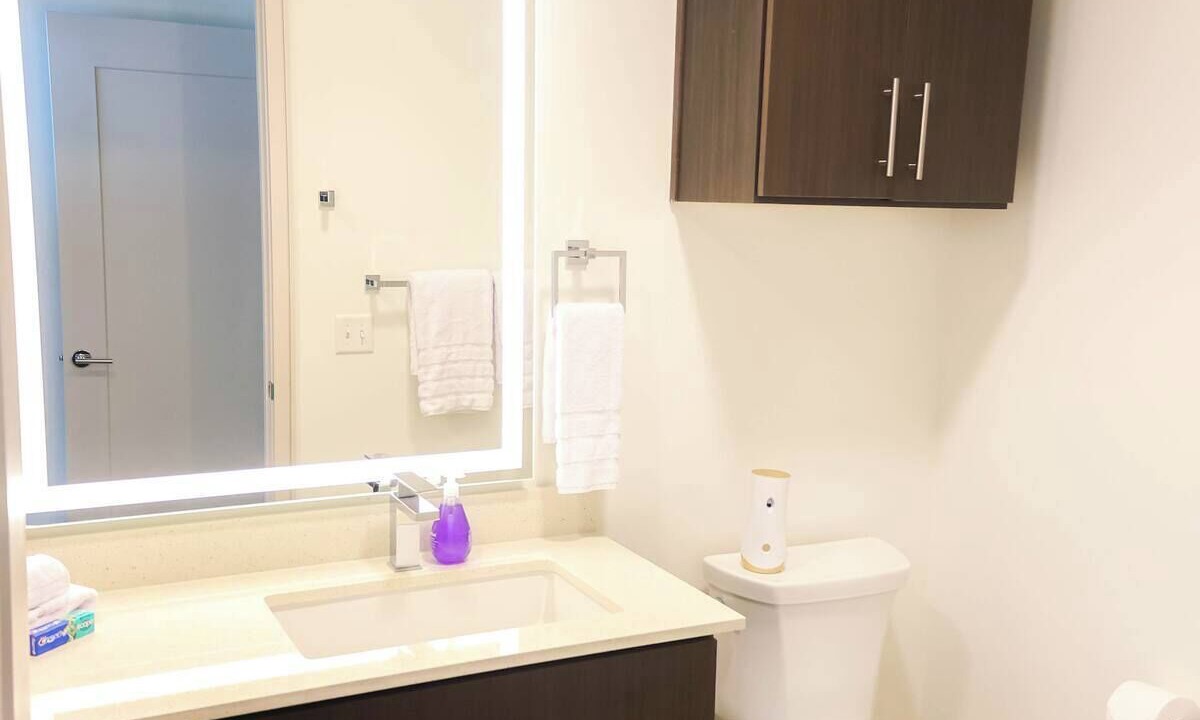 Photo of Bathroom in Texas Medical Center